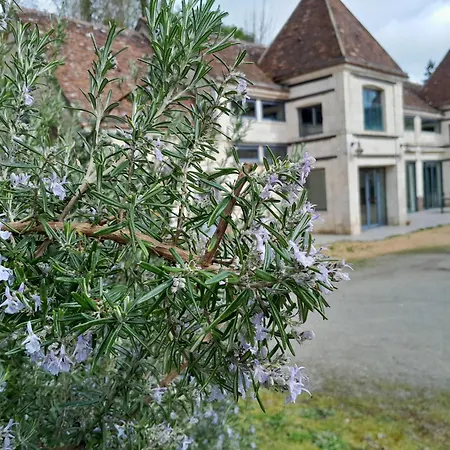 Gite Bande Dessinee Dans Le Perche Rémalard Extérieur photo
